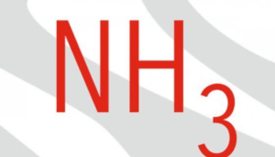 NH3 NH3