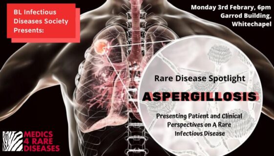 78594149_1024621827885798_1782227981196853248_o-2 78594149_1024621827885798_1782227981196853248_o-2