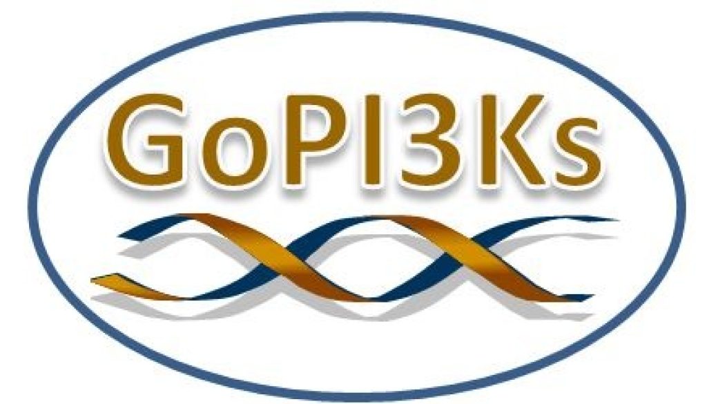 GoPI3Ks logo 300DPI - Mandy Sellars