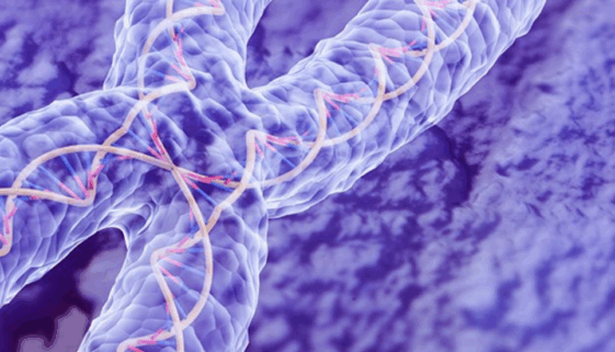 Screenshot 2022-05-04 at 09.38.35 Screenshot 2022-05-04 at 09.38.35