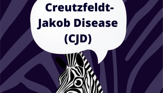 mystery monday mystery monday