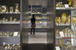 hunterian museum