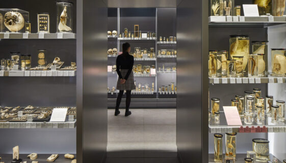 hunterian museum hunterian museum