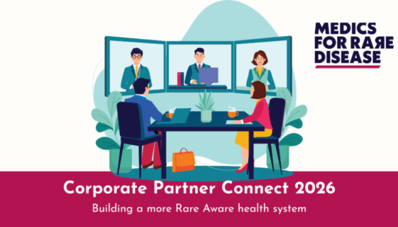 Online partner meeting2